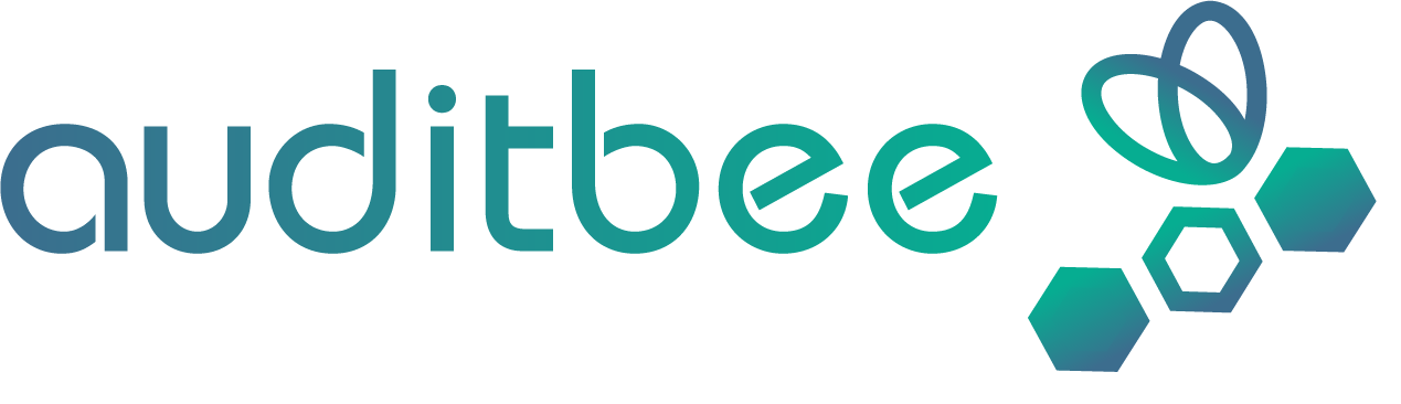 auditbee Dashboard - FiBu
