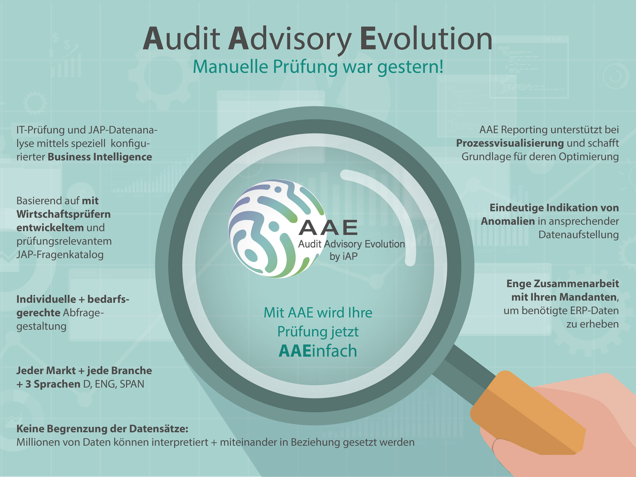 AAE - Audit Advisory Evolution