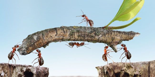 Digitalisierung_gemeinsam_stemmen_Teaser